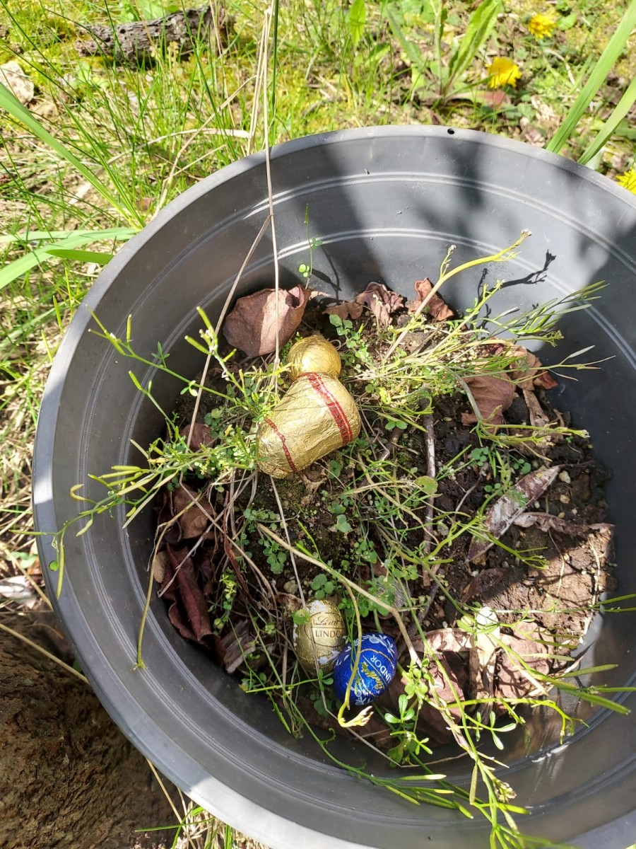 Cachette des oeufs