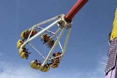IMG_9238-scaled
