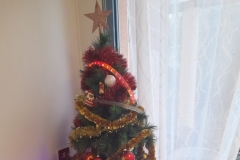 20231216_153026-scaled