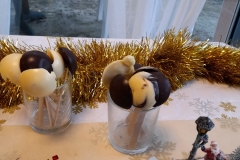 20231216_160139-scaled