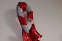 20231216_163619-scaled