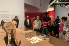 73817189-ae69-41e6-816f-0aac47d8e207