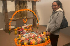 8e502e9a-26da-4320-b871-693cb80536ff