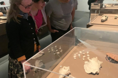 b1dffa1d-b02a-4acb-8a2b-ac3c642800d7