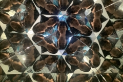 Photo-205-scaled