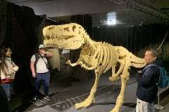 IMG_8832-scaled
