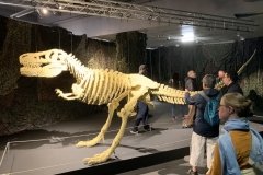 IMG_8835-scaled