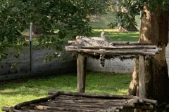 image00036-scaled